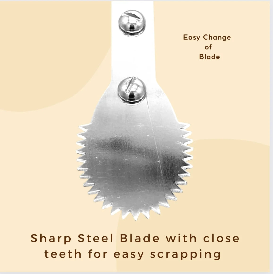 MM SS Table Top Coconut Scrapper