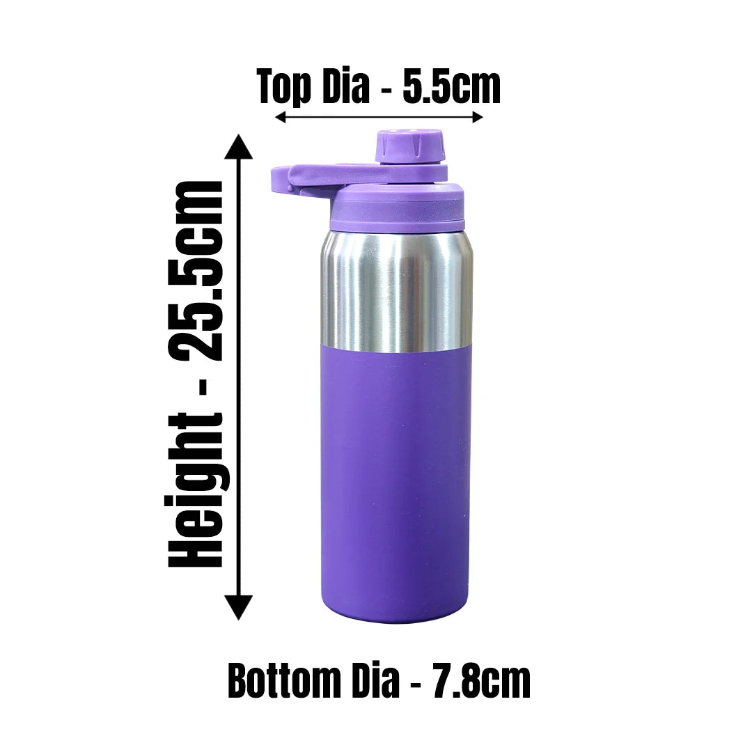 MM SS Easy Flow Flask Silver with Violet 650ml MM3055